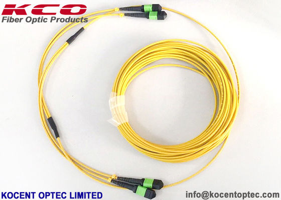 MPO APC 24fo 48cores G657A1 Ελίτ Εισαγωγή απώλεια MTP Fiber Optic Τάγμα Patch καλώδιο